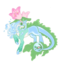 OFF-848: Water Lily Pond