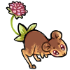 Fleurboa Box